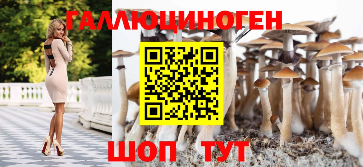 Псилоцибиновые грибы Psilocybe  Галлюциногенные грибы ЛСД  Вход с VPN  Кирово-Чепецк 